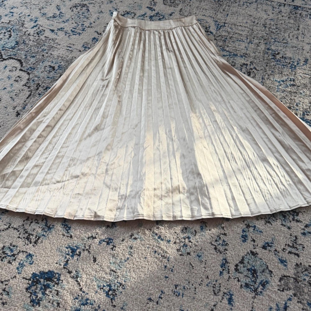 Chic gold A-Line Pleated Skirt purchased from
Boutique